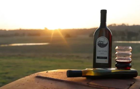 Tamburlaine Organic Wines introduces Packamama eco-flat bottles in a new Lizard Drinking brand launch